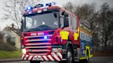 Firefighters put out accidental tree fire in Warrington