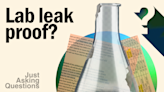 Do New Documents Prove a COVID Lab Leak?