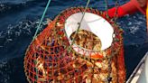 Price setting panel sets snow crab at $2.20 per pound — down over $5 from 2022 season