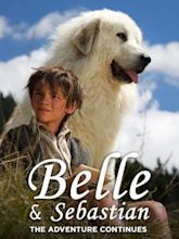 Belle et Sébastien : l'aventure continue