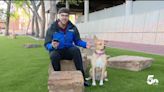 "Certainly Overlooked..." - Antler's Park Downtown Gets New Dog Park