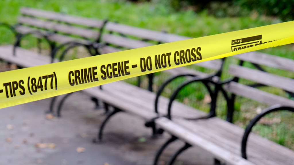 Two violent robberies within 12 hours in Central Park crime spike