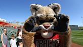 Why is the Arizona Diamondbacks mascot a bobcat? Here's what to know about D. Baxter