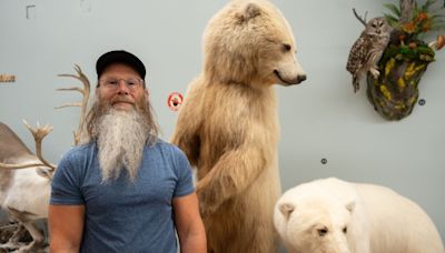 Discovering grolars at Yellowknife gallery were related was 'pretty cool' says taxidermist