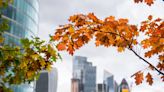 When does autumn start in the UK in 2024 and what is the autumnal equinox?