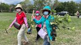 世界地球日 台東池上鄉大坡池畔種百棵原生樹木 (圖)