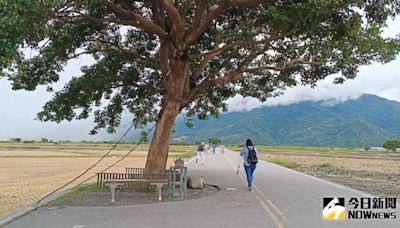 震後觀光振興台東 自由行補助8月上路