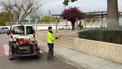 Algemesí combate las plagas con 26 tratamientos en 2.800 puntos entre primavera y verano