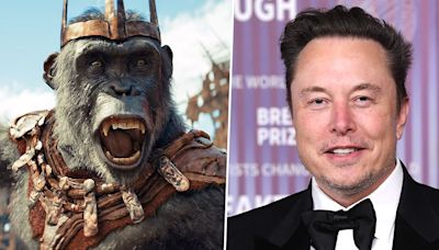 Kingdom of the Planet of the Apes cast totally get why their characters are being compared to Elon Musk and Luke Skywalker