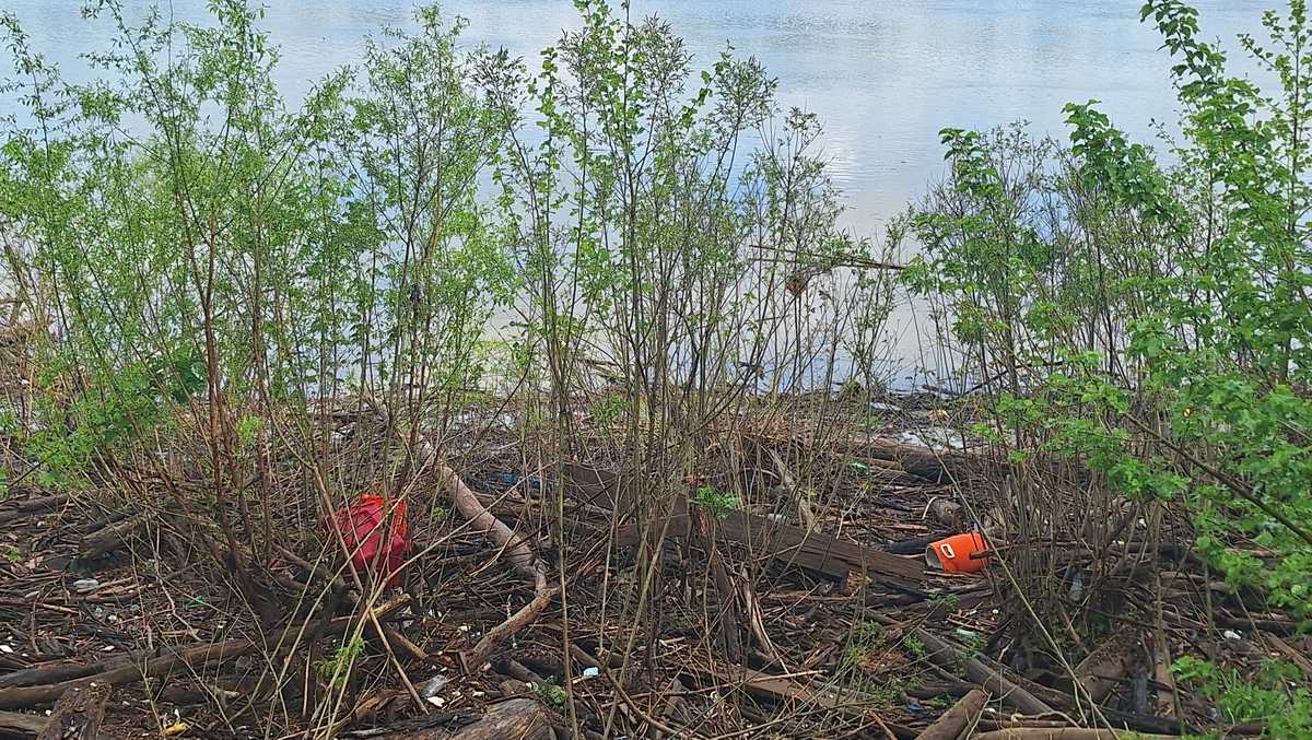 Ohio River Sweep happening in Rabbit Hash, Kentucky this weekend