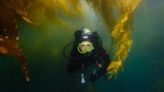 Non-profit SCUBA certifies veterans and their dive buddies