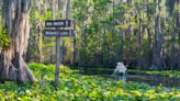 Okefenokee Swamp Park to seek UNESCO World Heritage Site Status for conservation, economy