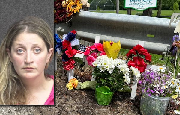 Pregnant mom of 4 drives into family while drunk killing 2, injuring 14 others, deputies say