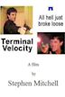 Terminal Velocity