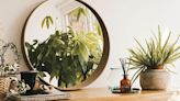 Keep Houseplants Thriving During Vacation
