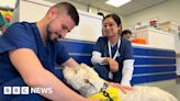 Therapy dog helping staff and patients at Jersey General Hospital
