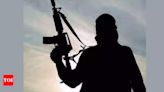 Terrorist toll rises to 6 as 2 more killed in Kulgam | India News - Times of India