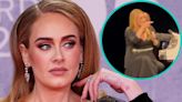 Adele Shuts Down Heckler After Hearing 'Pride Sucks' At Vegas Concert: 'Are You F***ing Stupid?' | Access