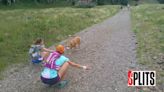 Splits: A Last High Five for the Dog Who Wouldn’t Run