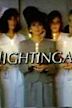 Nightingales (American TV series)