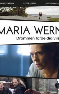 Maria Wern: Drömmen förde dig vilse