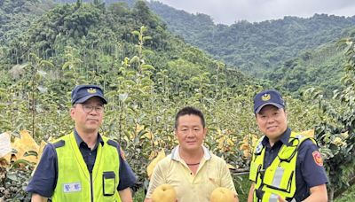 台中東勢水梨產季啟動護農專案 警民連線巡邏讓農民安心收成