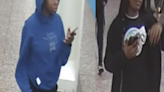 Surveillance cameras capture suspects in 2 CTA Red Line robberies