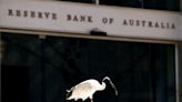 RBA to deliver 25 bp interest rate hike on Nov. 7 - Reuters poll