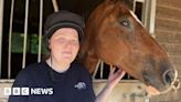 Taunton horse 'saved my life' after mental health struggle