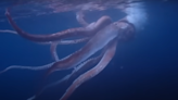 Rare ocean creature caught on video swimming ‘sluggishly’ off Japan. See the encounter