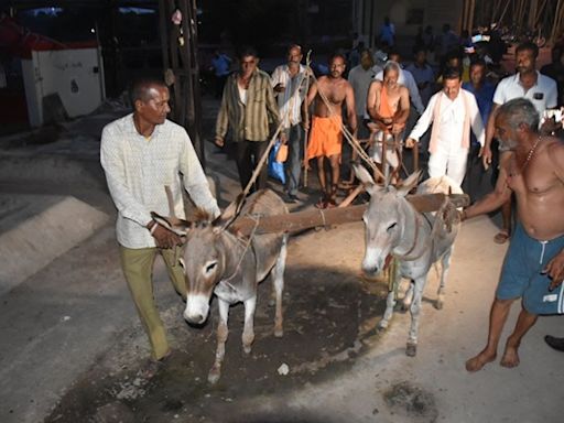 Praying For Rain: Unique Ritual In Mandsaur Involves Ploughing Crematorium With Donkeys And Sowing Salt