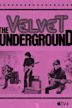 The Velvet Underground (film)