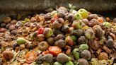 From trash to treasure: SCO2’s paving the way to sustainable and profitable food waste reduction