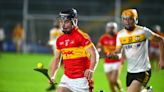 Horeswood hurlers make hay while the sun shines against Askamore