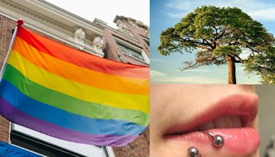 ¿Qué se celebra el 28 de junio? Hoy es Día del Orgullo LGBT, Día Mundial del Árbol y Día Internacional del Piercing Corporal