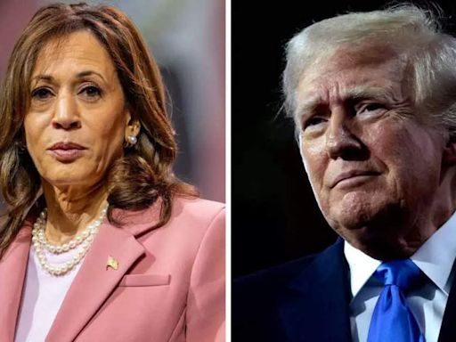 'Kamala will be easier to beat': Donald Trump on Joe Biden dropping out of White House race - Times of India