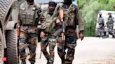 Security forces foil infiltration bid in J-K's Keran; 2 terrorists killed - The Economic Times