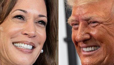 Trump is destroying his own campaign. Harris just needs to stand back and laugh.