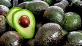 Nayarit busca exportar aguacate a EU ante suspensión para Michoacán