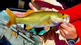 Top 10 bass lake in Florida features a rare golden largemouth