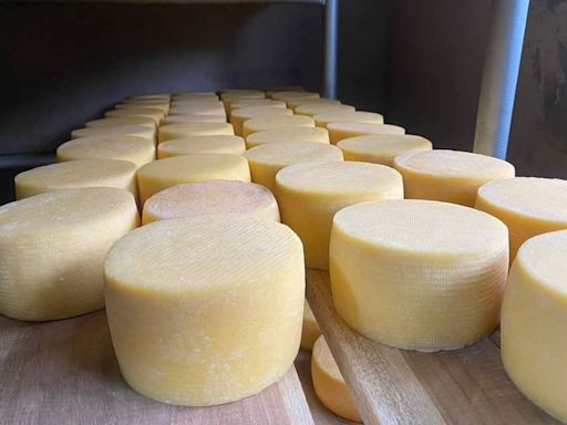 Ecuador tendrá su segunda Copa América del queso en busca de llegar a Europa con sus productos lácteos