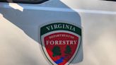 DOF: Lee County spring wildfire was 5th-largest in Virginia