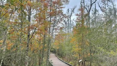 Cinco parques de Carolina del Norte para visitar en verano - La Noticia