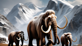 Should we bring wooly mammoths back to life? | ECOVIEWS