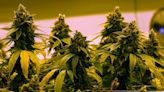 Lawmakers hint date for Ohio recreational marijuana sales to begin