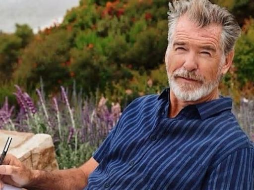 Pierce Brosnan será un espía retirado y solitario en la cinta "A spy's guide to survival"