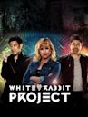 White Rabbit Project