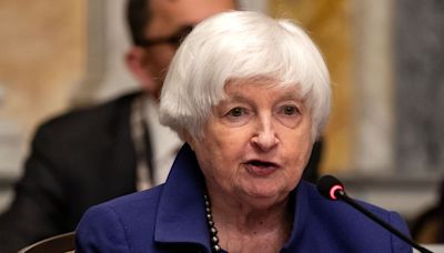 Opinion | Janet Yellen’s New Too-Big-To-Fail Firms