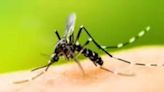 Malaria outbreak hits Kerala's Ponnani; health officials sound alert - ET HealthWorld