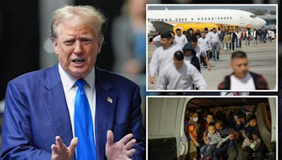 Inside Trump’s plan to deport ‘nearly 20 million’ illegal migrants from the US